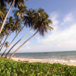Bãi biển mũi né