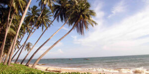 Bãi biển mũi né
