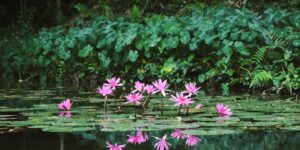 548139454 1217544227085988 5502890214497488808 n