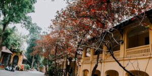 Pho co ha noi 1