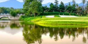 A746 585d 409f 9c47 9afe83bd7b0f