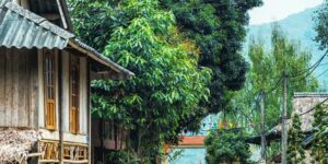 Bfa4f176 87e9 43dc ba39 2ca117b9cbc8