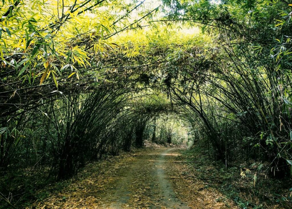 Kdl nam cát tiên