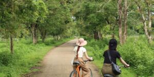 Vườn quốc gia Nam Cát Tiên