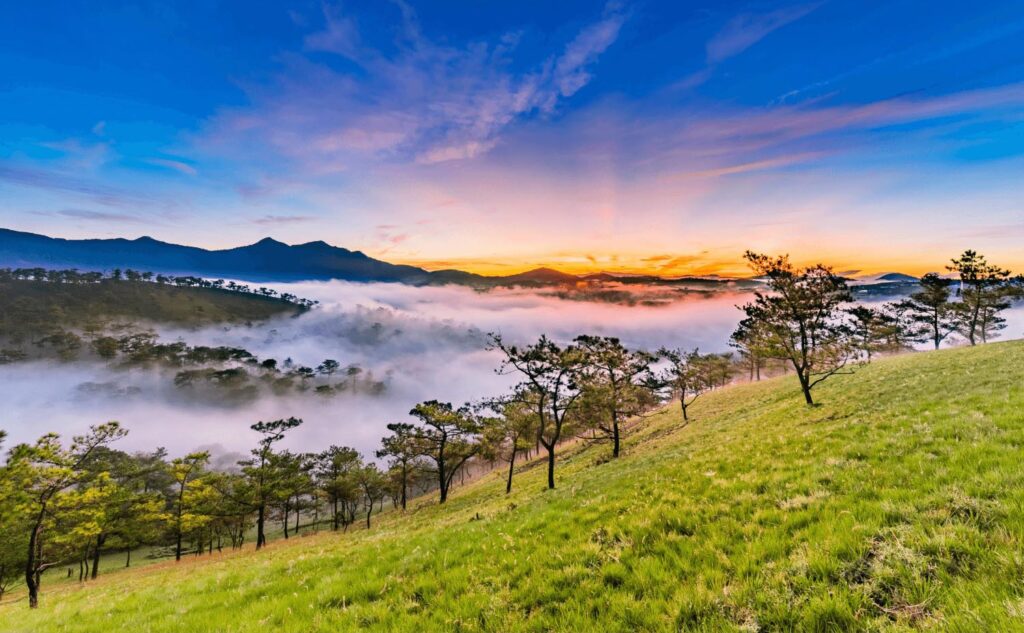 Cảnh đẹp Đl