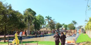 Kdl Đất thép farm